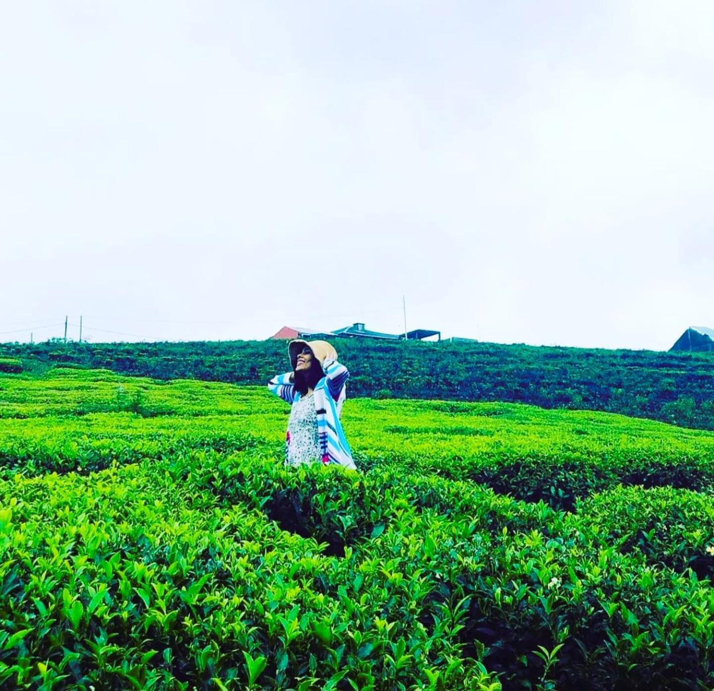 The Tea Garden Nuwara Eliya Exterior foto