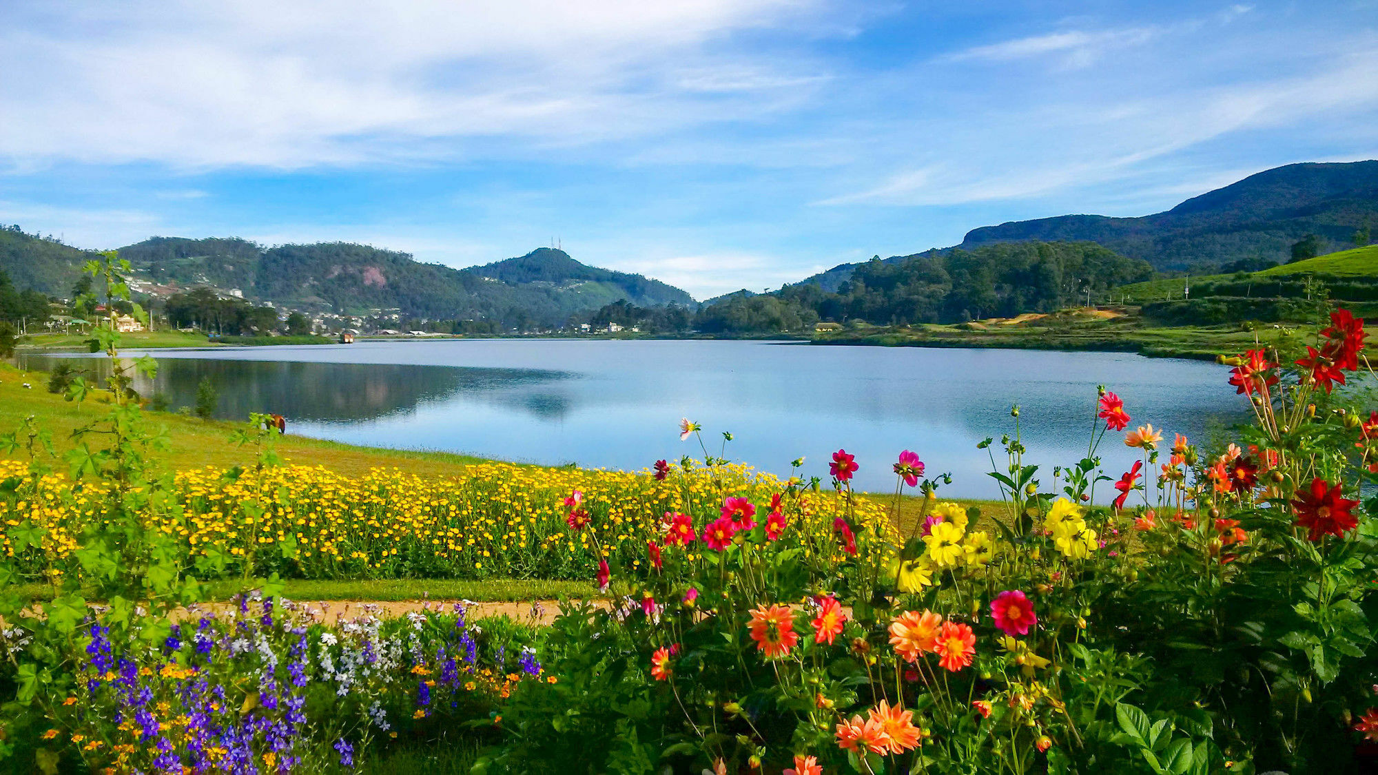 The Tea Garden Nuwara Eliya Exterior foto